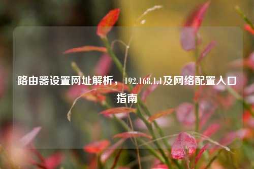 路由器设置网址解析,192.168.1.1及网络配置入口指南