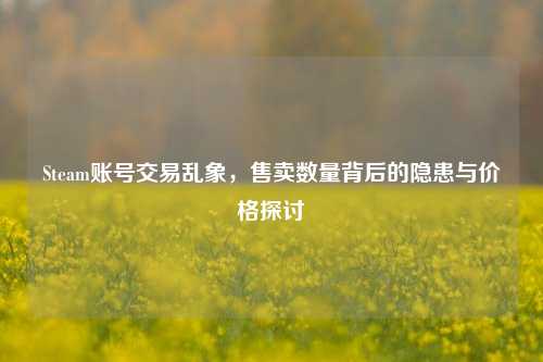 Steam账号交易乱象，售卖数量背后的隐患与价格探讨