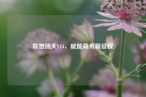 联想扬天V14,赋能商务新征程
