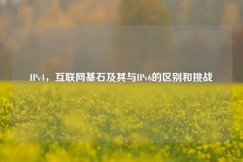 IPv4,互联网基石及其与IPv6的区别和挑战