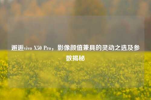 邂逅vivo X50 Pro,影像颜值兼具的灵动之选及参数揭秘