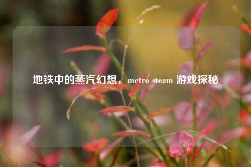 地铁中的蒸汽幻想,metro steam 游戏探秘