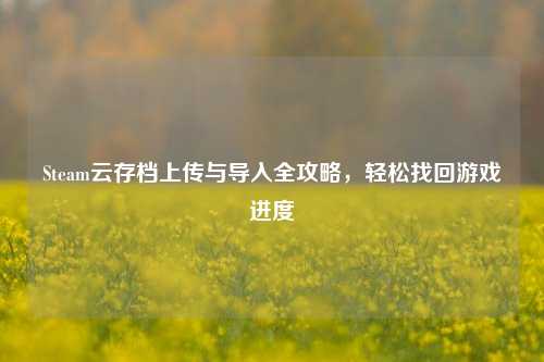 Steam云存档上传与导入全攻略,轻松找回游戏进度