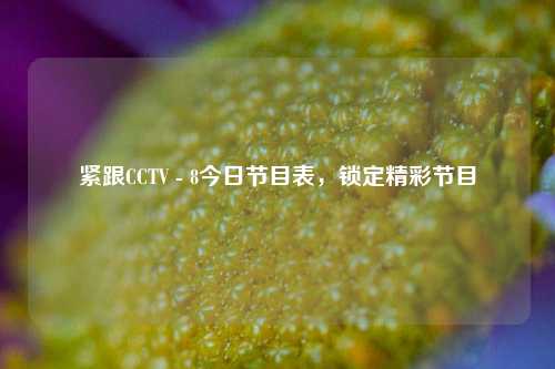 紧跟CCTV - 8今日节目表,锁定精彩节目