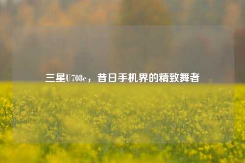 三星U708e,昔日手机界的精致舞者