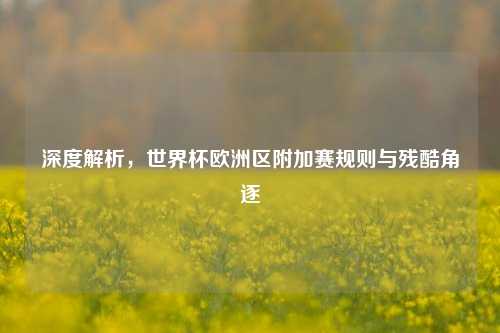 深度解析,世界杯欧洲区附加赛规则与残酷角逐