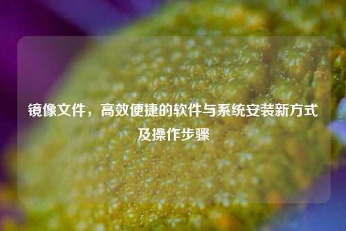 镜像文件,高效便捷的软件与系统安装新方式及操作步骤