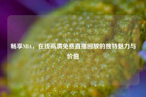 畅享NBA,在线高清免费直播回放的独特魅力与价值