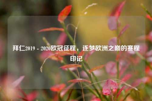 拜仁2019 - 2020欧冠征程,逐梦欧洲之巅的赛程印记