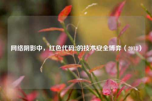 网络阴影中,红色代码2的技术安全博弈(2013)