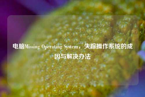 电脑Missing Operating System,失踪操作系统的成因与解决办法