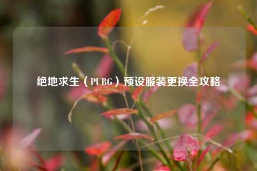 绝地求生(PUBG)预设服装更换全攻略