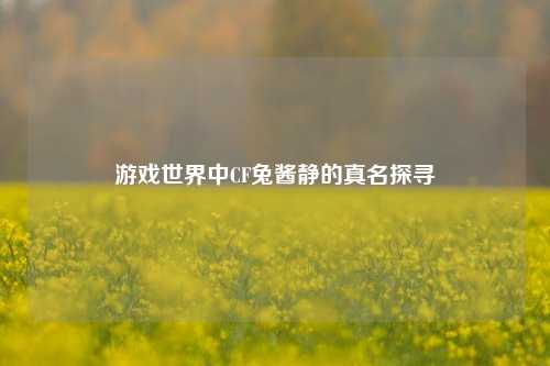 游戏世界中CF兔酱静的真名探寻