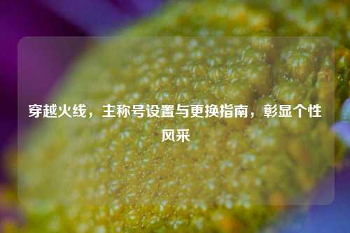 穿越火线,主称号设置与更换指南,彰显个性风采