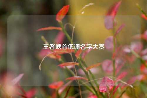 王者峡谷低调名字大赏