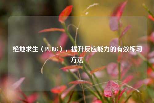 绝地求生(PUBG),提升反应能力的有效练习方法