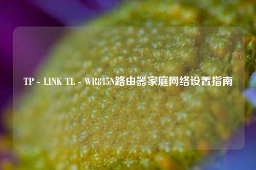 TP - LINK TL - WR845N路由器家庭网络设置指南