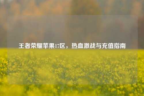 王者荣耀苹果17区,热血激战与充值指南