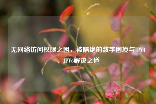 无网络访问权限之困,被隔绝的数字困境与IPV4、IPV6解决之道