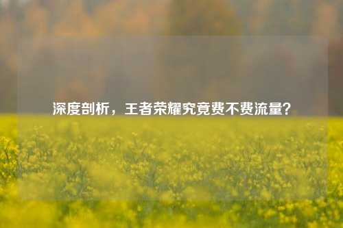 深度剖析,王者荣耀究竟费不费流量?