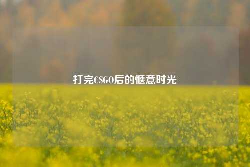 打完CSGO后的惬意时光