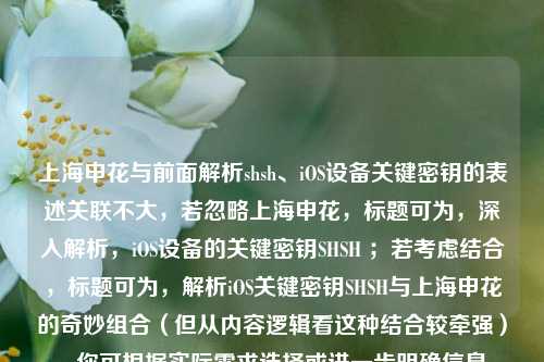 上海申花与前面解析shsh、iOS设备关键密钥的表述关联不大,若忽略上海申花,标题可为,深入解析,iOS设备的关键密钥SHSH ;若考虑结合,标题可为,解析iOS关键密钥SHSH与上海申花的奇妙组合(但从内容逻辑看这种结合较牵强) 。你可根据实际需求选择或进一步明确信息。