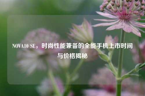 NOVA10 SE,时尚性能兼备的全能手机上市时间与价格揭秘
