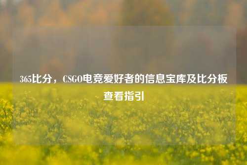 365比分，CSGO电竞爱好者的信息宝库及比分板查看指引