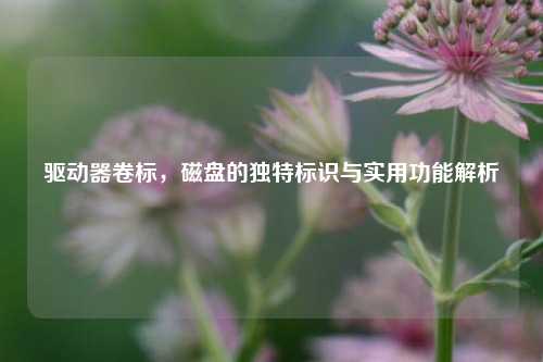 驱动器卷标,磁盘的独特标识与实用功能解析
