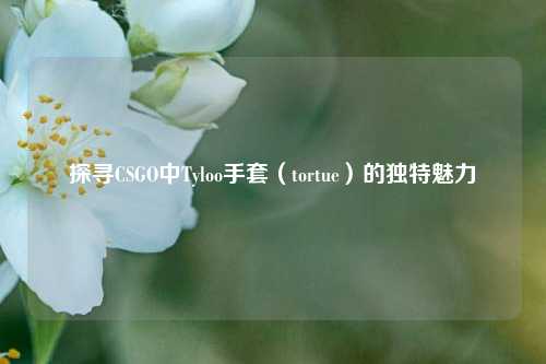 探寻CSGO中Tyloo手套(tortue)的独特魅力