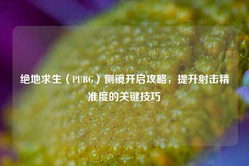 绝地求生(PUBG)侧镜开启攻略,提升射击精准度的关键技巧