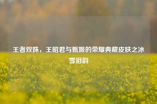 王者双姝,王昭君与甄姬的荣耀典藏皮肤之冰雪泪韵