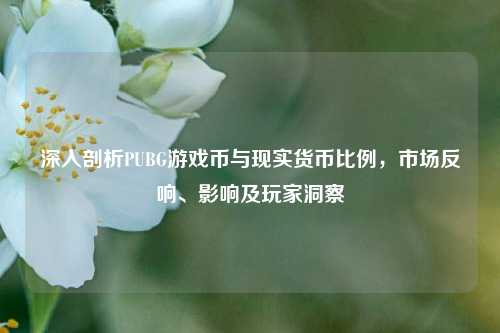 深入剖析PUBG游戏币与现实货币比例,市场反响、影响及玩家洞察