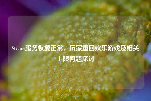 Steam服务恢复正常,玩家重回欢乐游戏及相关上限问题探讨