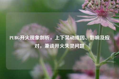 PUBG开火现象剖析,上下晃动成因、影响及应对,兼谈开火失灵问题