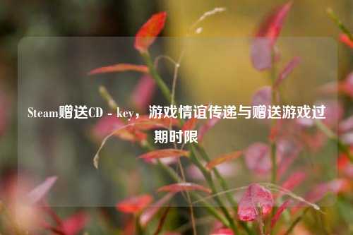 Steam赠送CD - key,游戏情谊传递与赠送游戏过期时限