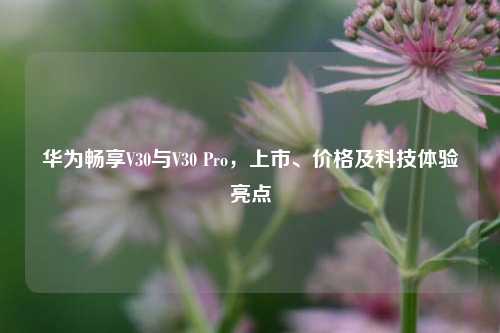 华为畅享V30与V30 Pro,上市、价格及科技体验亮点