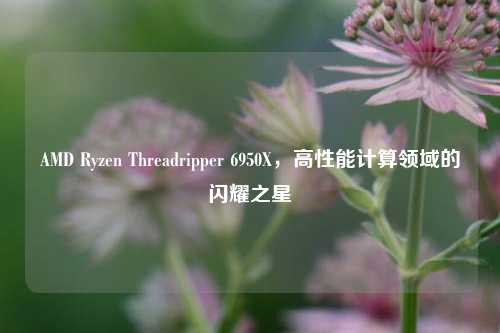 AMD Ryzen Threadripper 6950X,高性能计算领域的闪耀之星