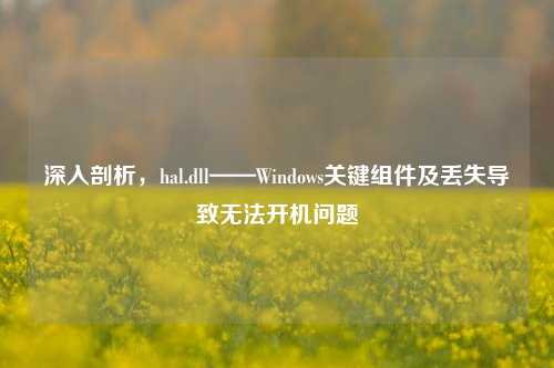 深入剖析，hal.dll——Windows关键组件及丢失导致无法开机问题