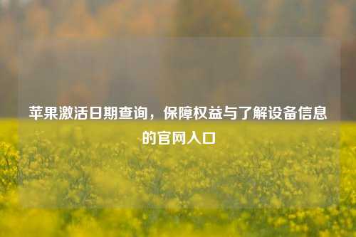 苹果激活日期查询,保障权益与了解设备信息的官网入口