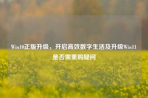 Win10正版升级,开启高效数字生活及升级Win11是否需重购疑问