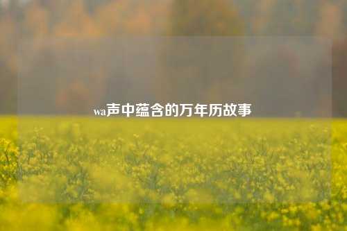 wa声中蕴含的万年历故事