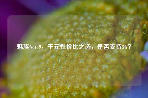 魅族Note9,千元性价比之选,是否支持5G?