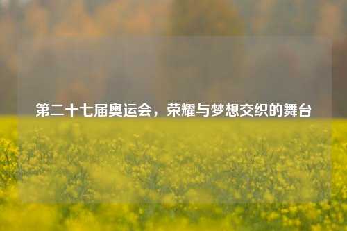 第二十七届奥运会,荣耀与梦想交织的舞台