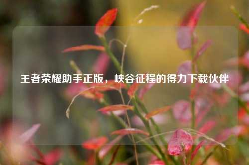 王者荣耀助手正版,峡谷征程的得力下载伙伴
