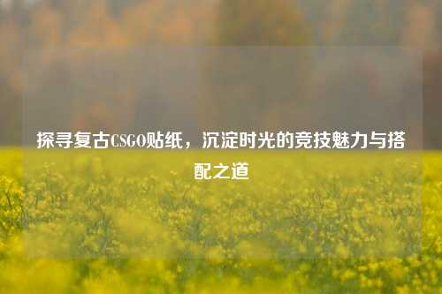 探寻复古CSGO贴纸,沉淀时光的竞技魅力与搭配之道