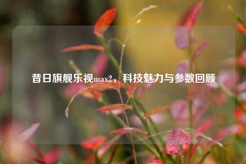 昔日旗舰乐视max2,科技魅力与参数回顾