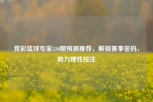 竞彩篮球专家310期预测推荐,解锁赛事密码,助力理性投注