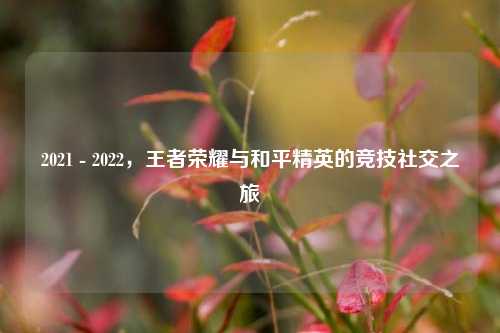 2021 - 2022,王者荣耀与和平精英的竞技社交之旅
