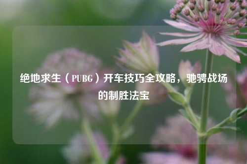 绝地求生（PUBG）开车技巧全攻略，驰骋战场的制胜法宝